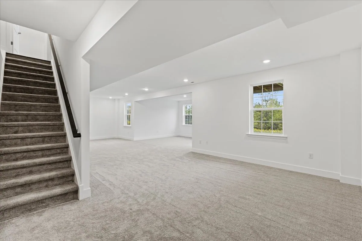 Finished Walkout Basement