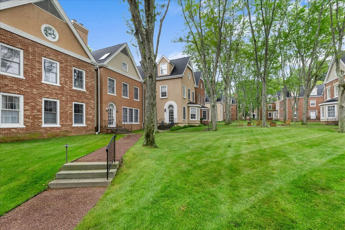 Tree-Lined Common Green